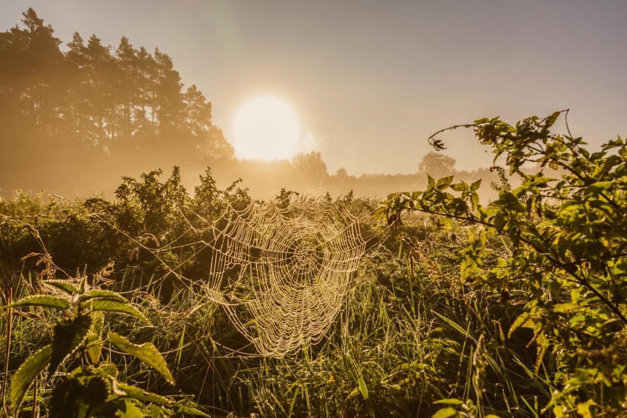 Gospodarstwo agroturystyczne Zacisze *