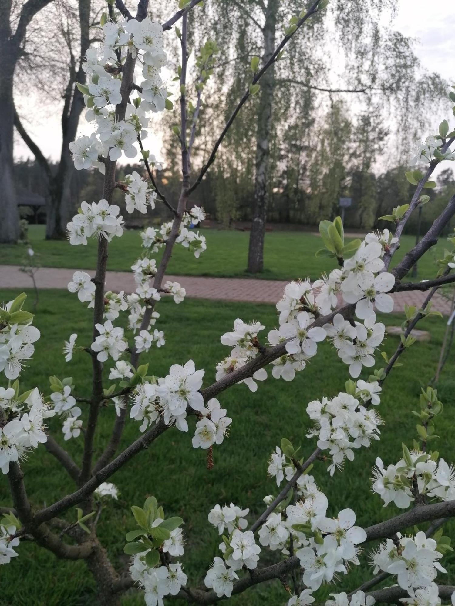 Zacisze Gospodarstwo agroturystyczne