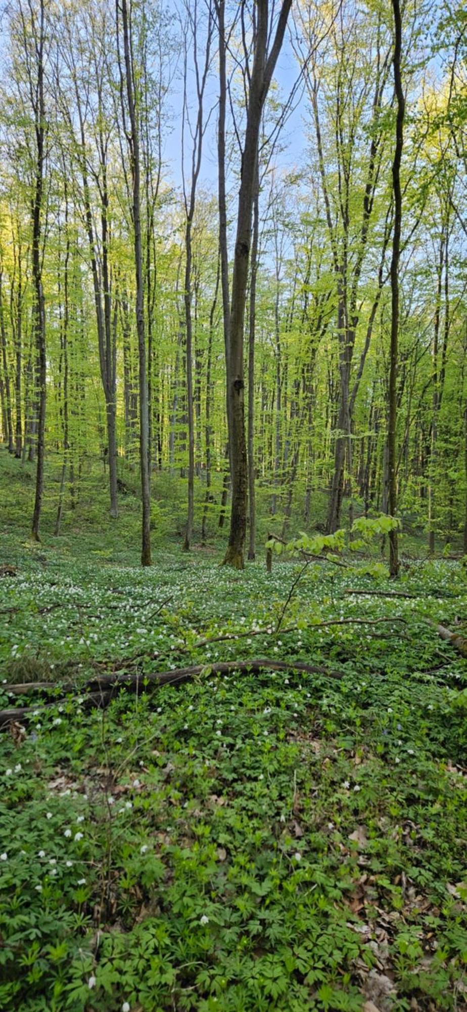 Alloggio per agriturismo W Zaciszu Ruś